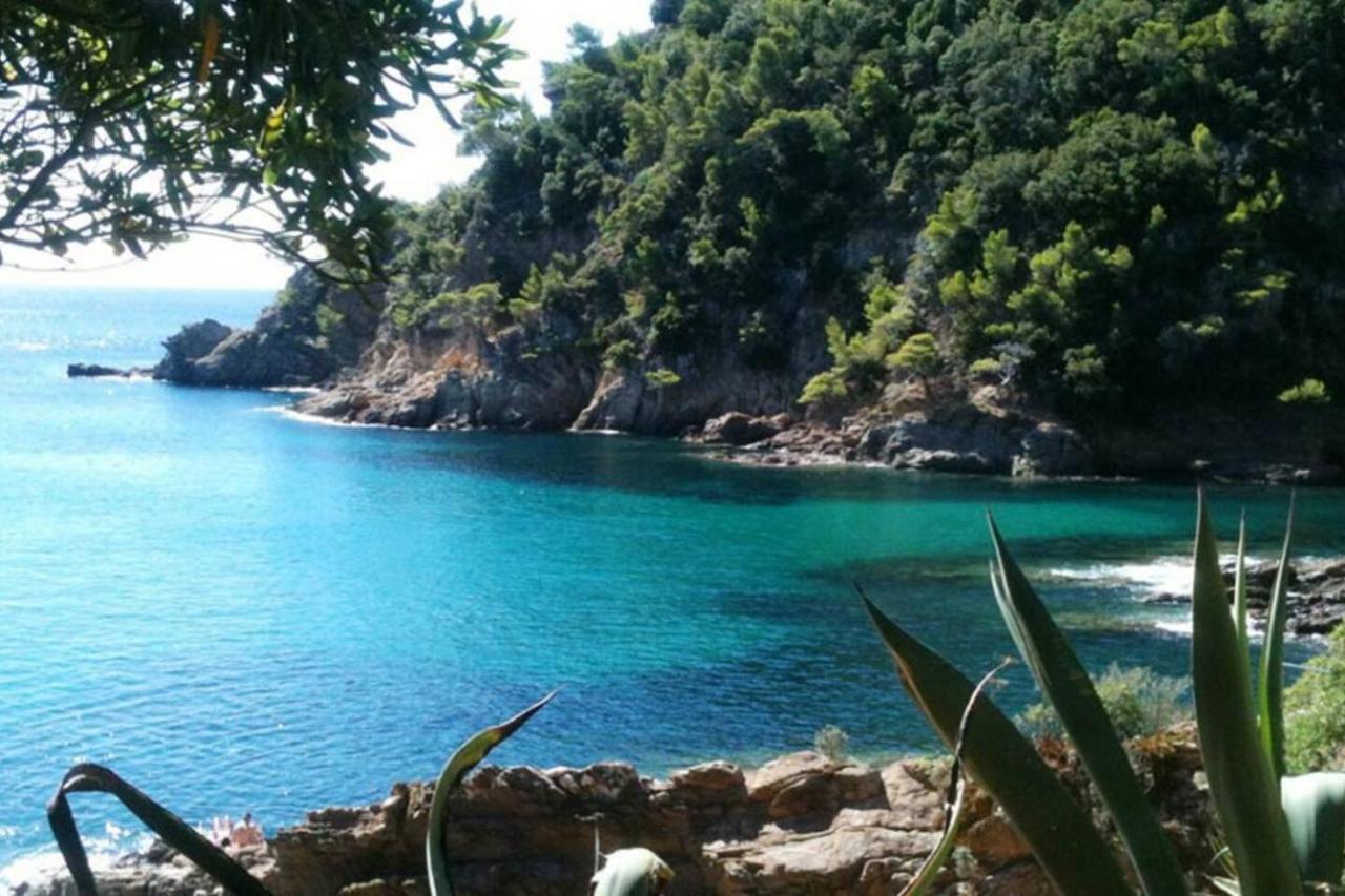 Le Noisetier Apartment Cavalaire-sur-Mer Bagian luar foto