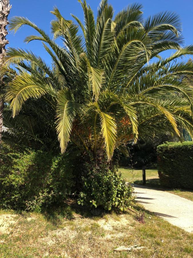 Le Noisetier Apartment Cavalaire-sur-Mer Bagian luar foto
